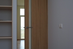 Faneruotos vidaus durys 2018 01