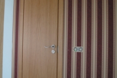 Faneruotos vidaus durys 2018 09